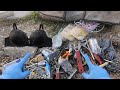 Dumpster Diving & Finding a Mechanic Tools Treasure in This Strange Bag!🔧😱