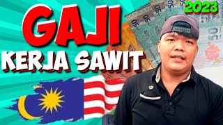 Gaji racun man pekerja sawit malaysia 2023