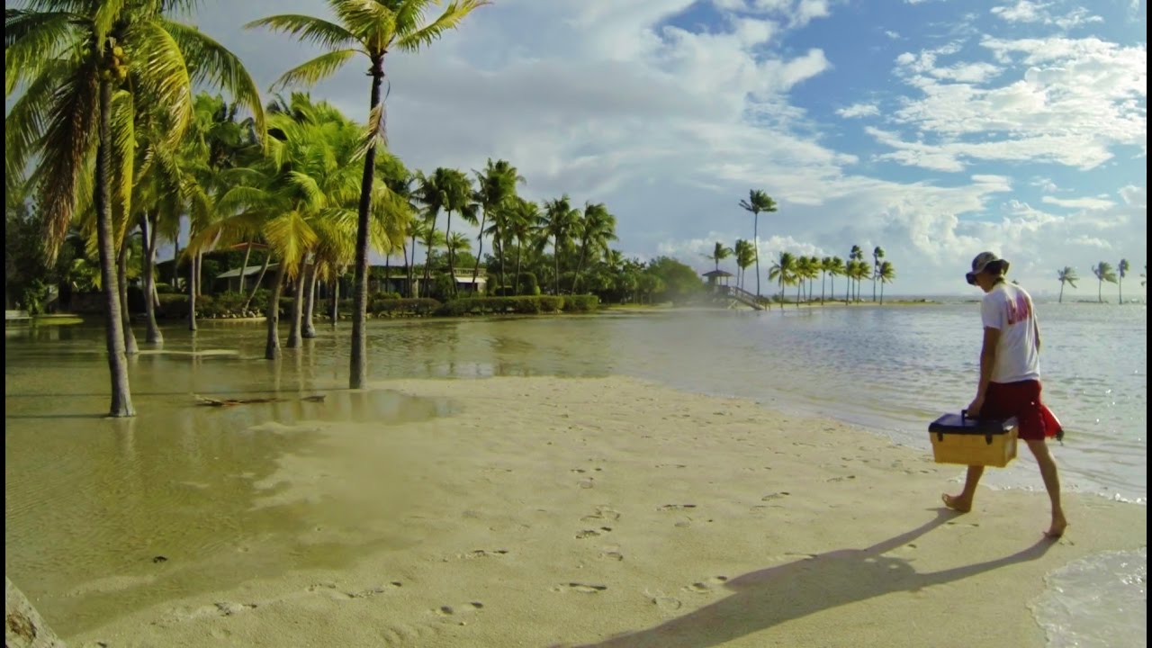 King Tide TimeLapse at Matheson Hammock Beach YouTube