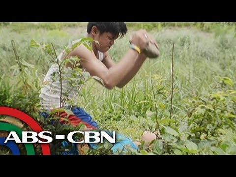 Video: Anong Mga Dokumento Ang Kinakailangan Para Mapayagan Siya Ng Isang Bata Sa Ibang Bansa Kasama Ang Mga Kaibigan