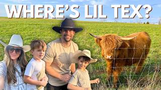 Lil' Cowboys Search for Lil' Tex! MINI HIGHLAND/BULL/HERD/CATTLE DRIVE/KIDS/FARM