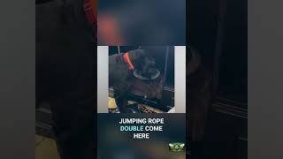 Huskys verkleidet &amp; Hunde tanzen: Lustige Tricks für deinen Vierbeiner! #shorts