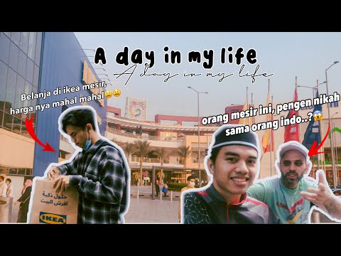 A DAY IN MY LIFE IN EGYPT🇪🇬 (mahasiswa indo di mesir)