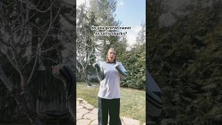 Im More Of A Salty Girl