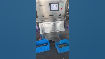 Color sorter machine for Garlic Sorting before delivery #machine #colorsorter #garlic