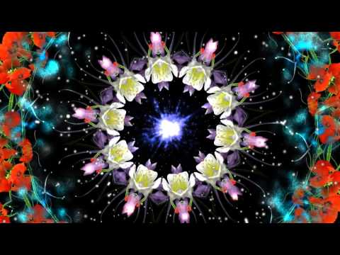 Цветочная фантазия HD