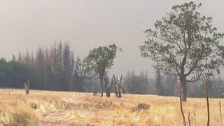 Oregon wildfires have burned 1M+ acres so far this season, officials say