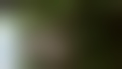 First dwc bubble bucket gh performance pack.