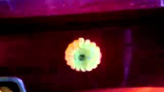 Aervoe LED Road Flare Kit