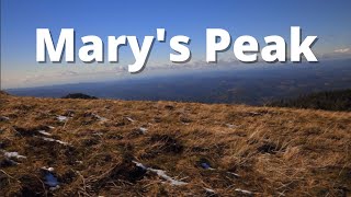 Hiking the HIGHEST peak in the Oregon Coast Range! Mary's Peak. Corvallis,  Oregon.