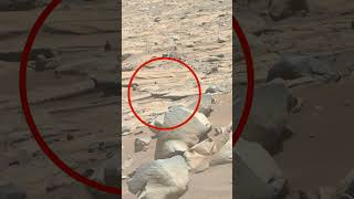 NASA's Craziest Mars Shot This Week | Mars In 4k | Mars #shorts