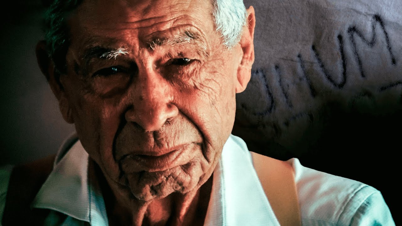 Fazenda Camparino: O Zebu que paga a conta!