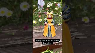 Henry VIII’s 6 wives told by Bunnykins 🐰👑 #history  #tudor #henryviii #tudorhistory #royal