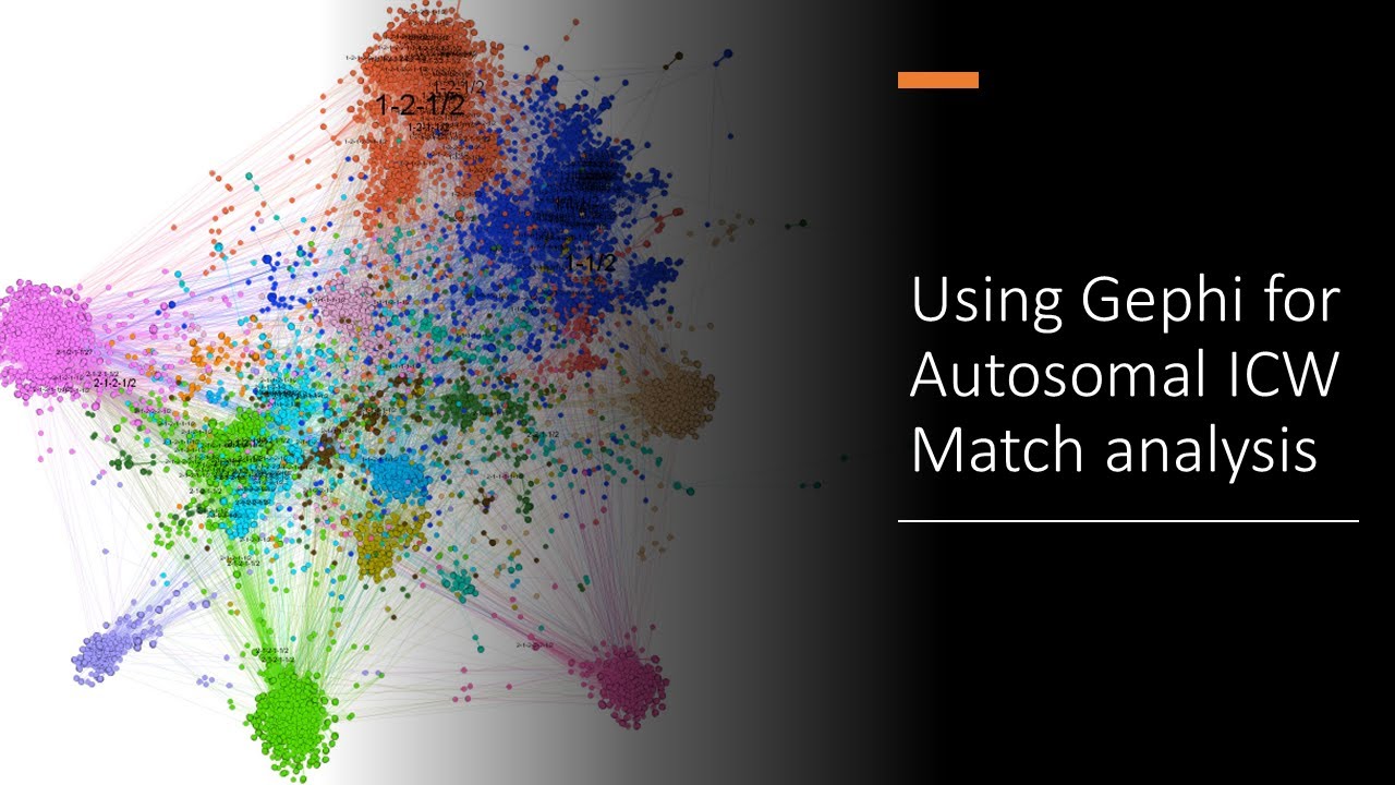 Autosomal ICW Match Analysis using the Gephi tool