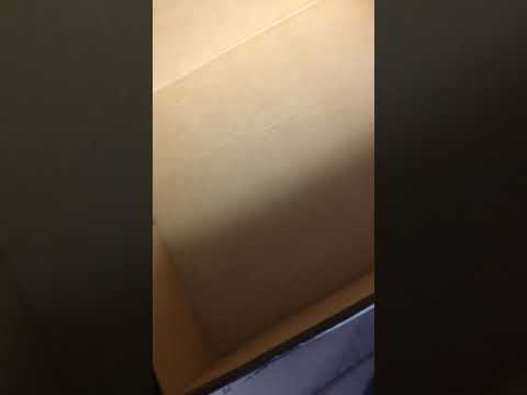 camera iphone 8 plus apk This turd moves!!