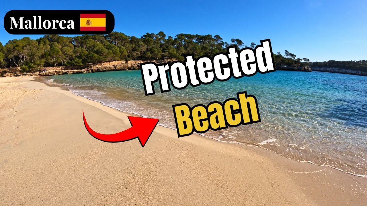 Mallorca’s Protected Natural Park Beach 🇪🇸 | Cala Mondragó POV Walk 4K
