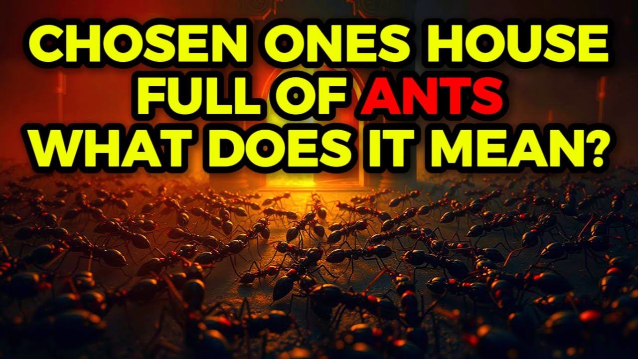 Discover the Spiritual Meaning of ANTS in Your House - Itโs Surprising ...