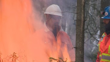 How kinks in the jet stream can push our weather to extremes