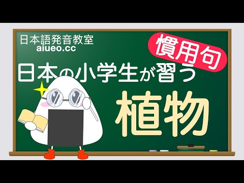 【日本語慣用句】JLPT《植物》일본어 공부(tiếng Nhật)