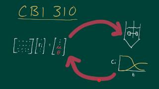 CBI lecture 11