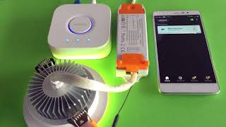 Demo on Pairing Nue ZigBee Downlight with Philips Hue Bridge