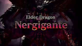 Hunters Choice Top Monster 2Nd Place Nergigante