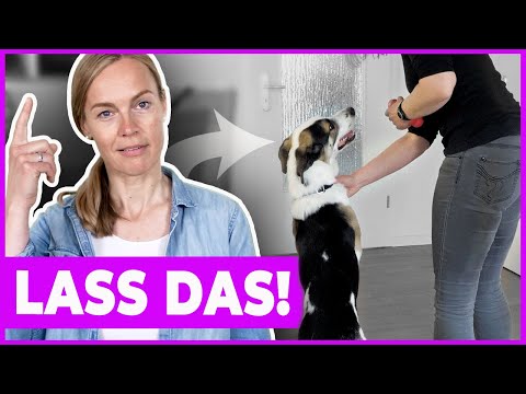 Video: Roamingverhalten bei Hunden