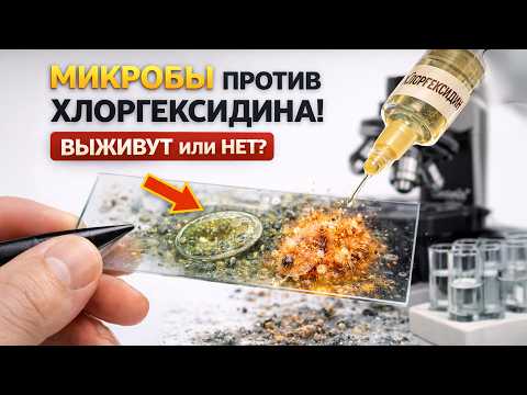 Что сделает 0.05% хлоргексидин с МИКРОБАМИ? Реальный эксперимент под микроскопом