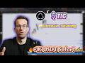 Staking $TIG — Low-Effort Wege zu  Gewinnen