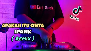 DJ APAKAH ITU CINTA IPANK TIK TOK VIRAL 2020! (Exel Sack Remix)