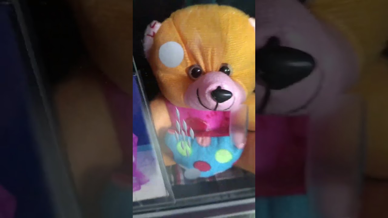 Aj saradin ki ki korlam 🤩😄