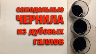 Как сделать чернила из дубовых галлов для перьевой ручки.