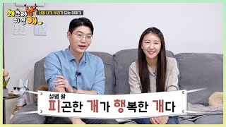 피곤한 개가 행복한 개다!!!!  그러면 이 집엔 행복만 가득하겠네요 ㅎ