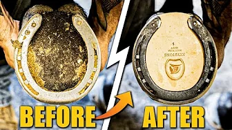 Full Restoration - Farrier Asmr-Oddly Satisfying