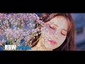 [TEASER] MAMAMOO SOLAR ; WIND FLOWER