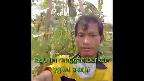Langitku, kertas tissue