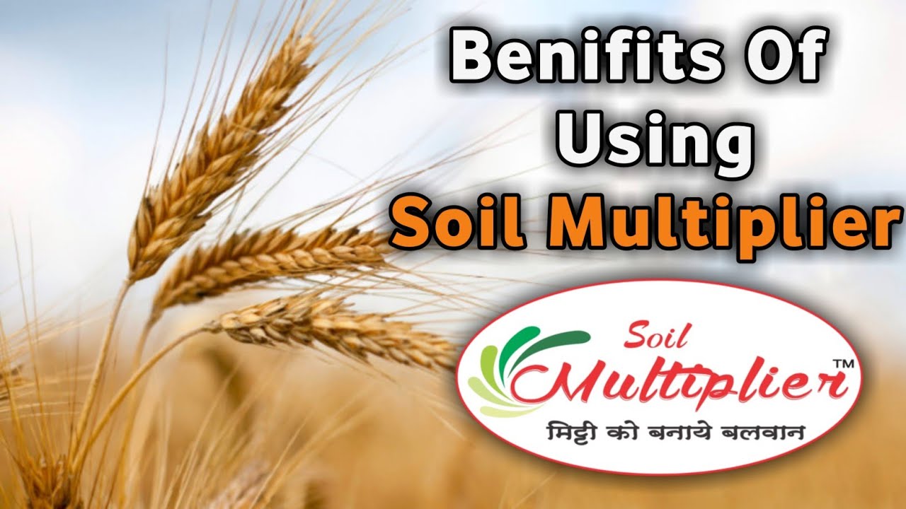 Soil Multiplier Benifits By Amit Srivastava 8299055733 YouTube