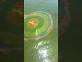Throwing a net to catch fish is a very happy thing. Spider Man is amazing at casting a net