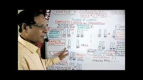 XII Bio Botany and Botany Chapter 3 Chromosomal basis of inheritance  Complete and incomplete linkag
