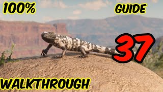 Red Dead Redemption 2 Guide part 37