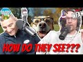 Why Don't Animals Wear Glasses + Al Calls a Random Realtor | Al &amp; Jerry's Postgame Podcast