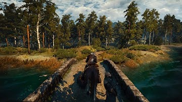 The Witcher 3 occasional stutter