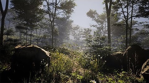 Unreal Engine 5 Procedural Forest [PCG]