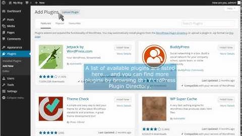 How to manage plugins in WordPress