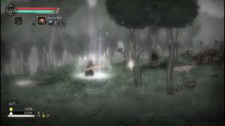 Salt and Sanctuary, flamberge mod