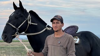 Асов Эди Жонивор Аллох Берди Бу Отни...