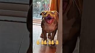 Do it! Let it go 🙌 Happy Everyday Everyone 👌