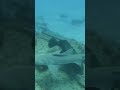 December 8, 2025