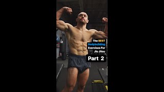 BEST Bodybuilding Exercise For Jiu Jitsu Pt. 2 // The BJJ Strength Coach