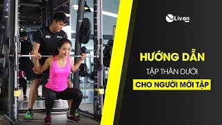 Hướng dẫn tập gym cho người mới tập